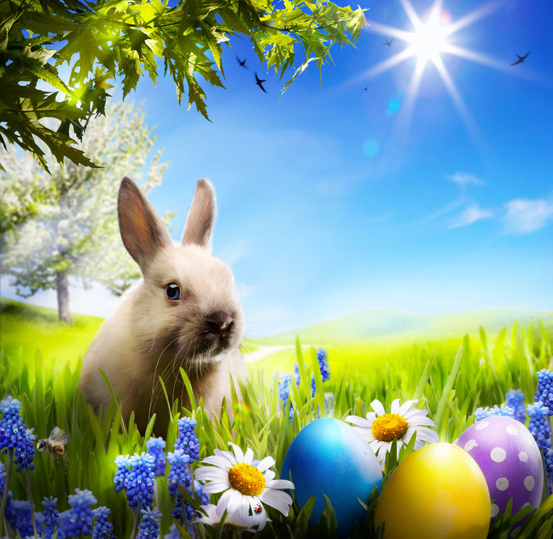绿色草地上的复活节小兔子和复活节彩蛋