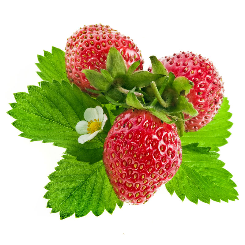 新鲜草莓果实-花和绿叶隔离