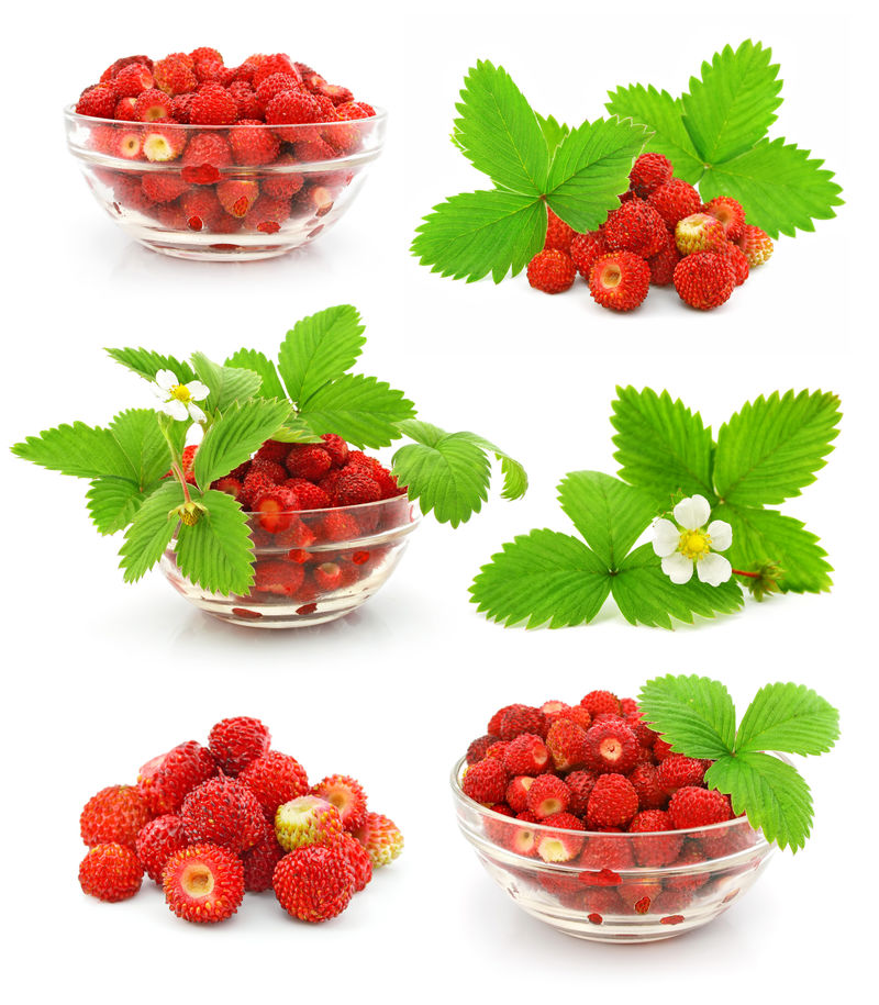 白底绿叶红草莓果实的采集