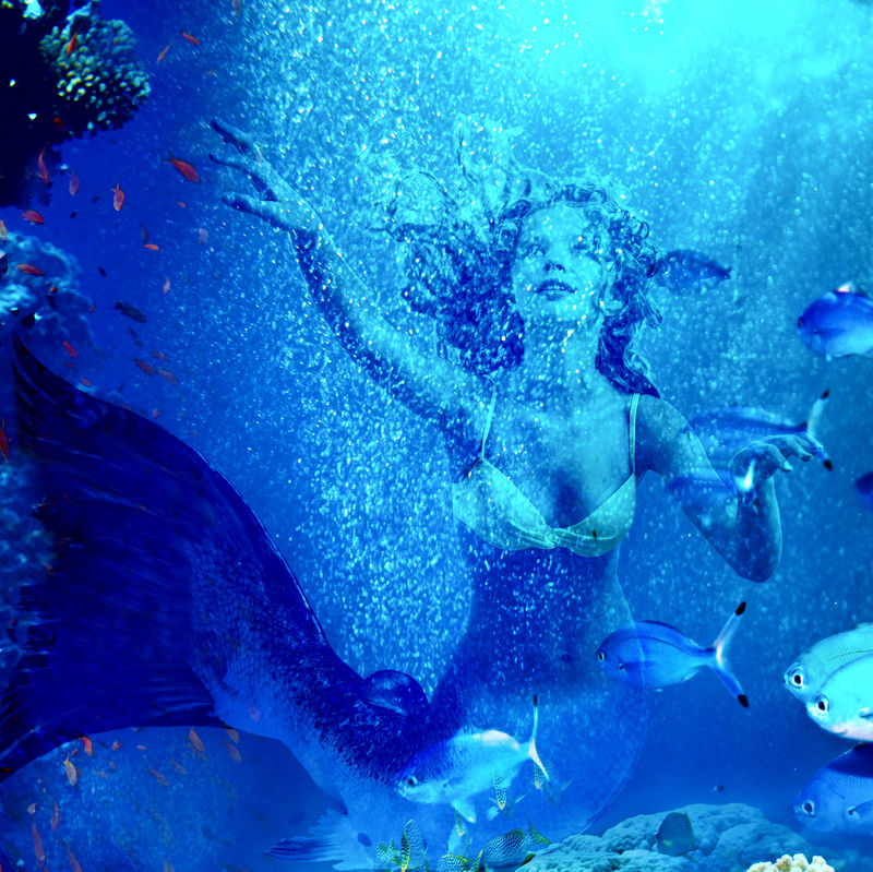 美人鱼通过珊瑚潜入水下