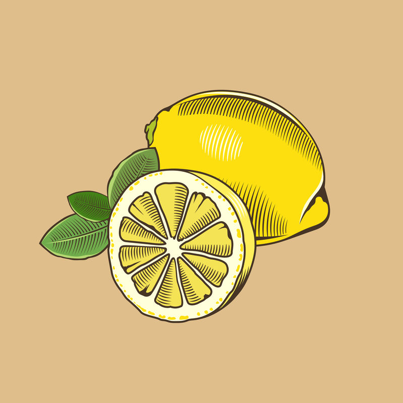 古典风格的柠檬彩色矢量图