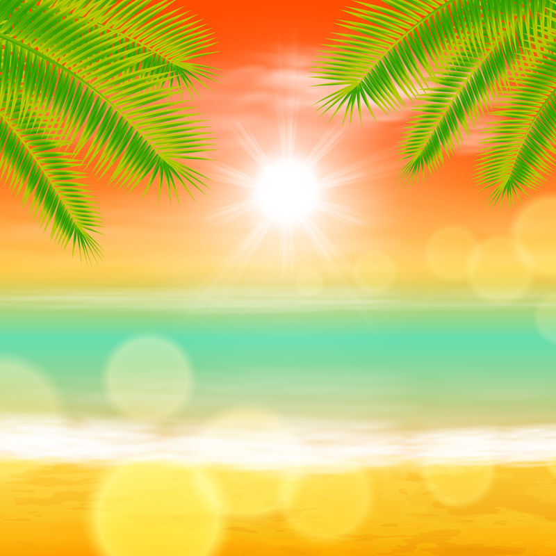 海洋日落-棕榈树树叶-镜头上有灯光-eps10矢量