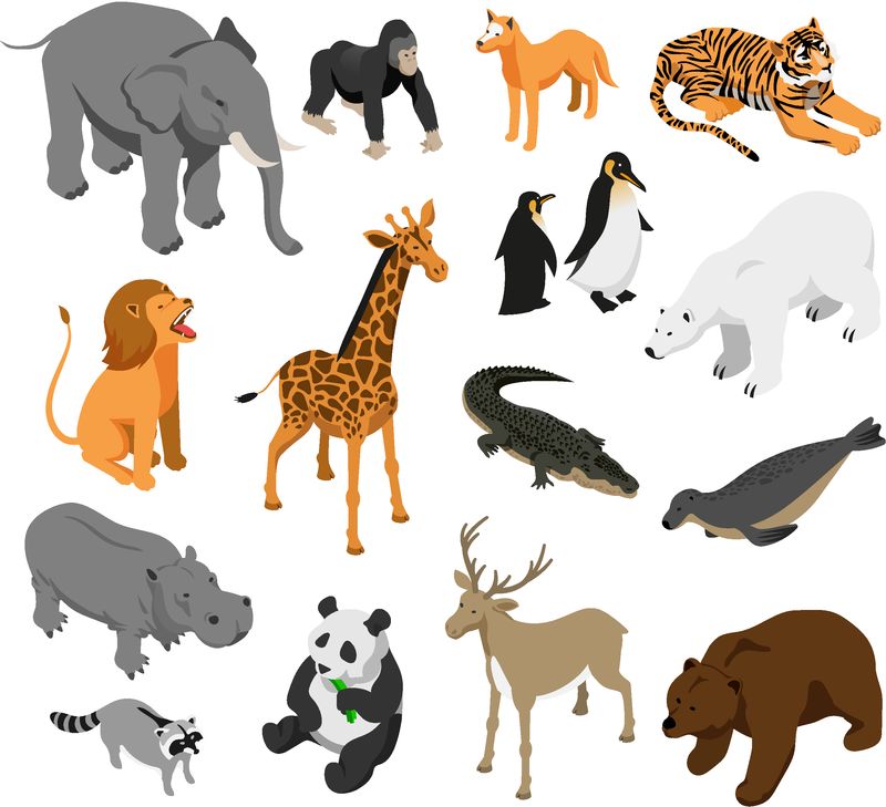 食草动物和捕食性动物园动物白色背景上等距图标的一组孤立矢量图