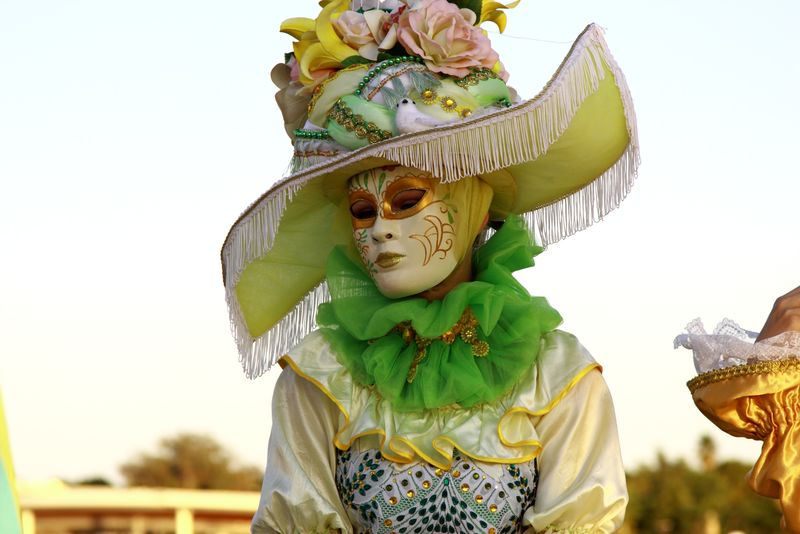 社论-2017年3月4日：法国罗斯海姆：威尼斯狂欢节面具-在大街上拍摄的最美面具