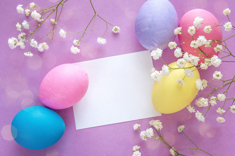 复活节彩蛋，有空白纸牌和紫色背景的白色花朵。文本空间。