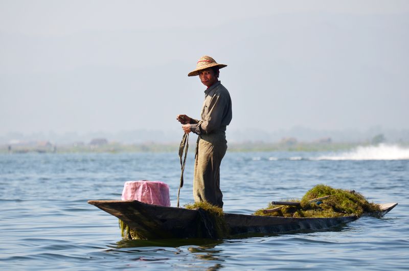 伊莱-缅甸-2016年2月14日-缅甸人用独特的方法在伊勒湖上划船和捕鱼-伊莱湖是海拔880米的最高湖泊之一