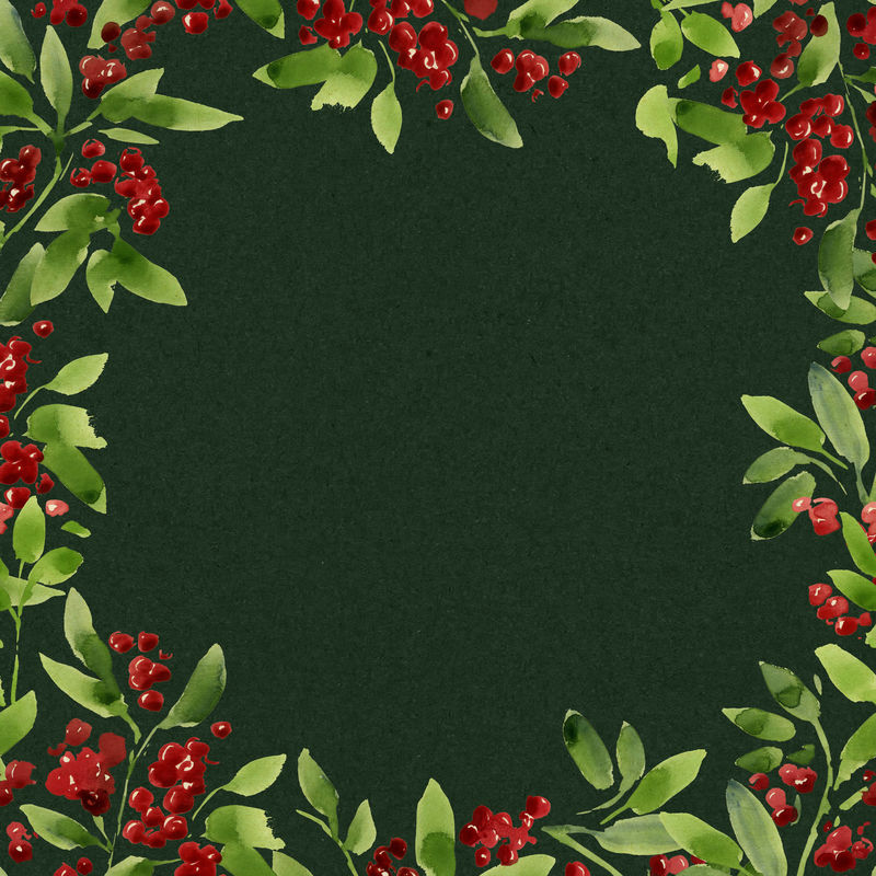 水彩画圣诞框架-红色一品红花朵-冬青树-树叶-浆果-松树-云杉-白底绿色小枝-贺卡新年花组成-设计