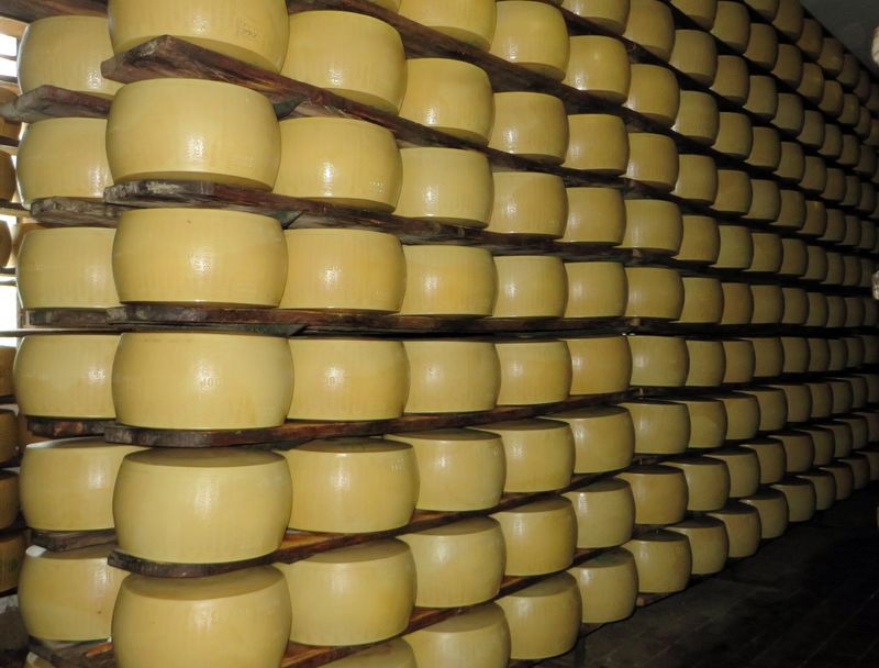 奶酪熟化仓库的架子