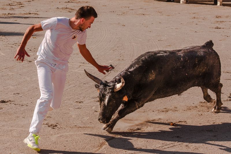 西班牙的公牛修剪工-图片