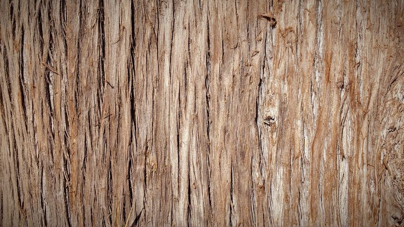 旧木板-木材纹理