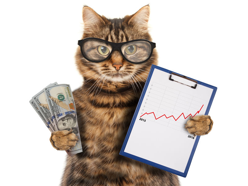 有趣的猫与文件夹的介绍-手头有钱-业务场景