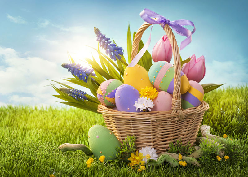 绿色草地上放复活节彩蛋的篮子