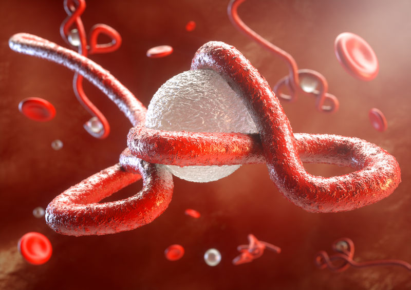 埃博拉病毒埃博拉病毒攻击免疫系统