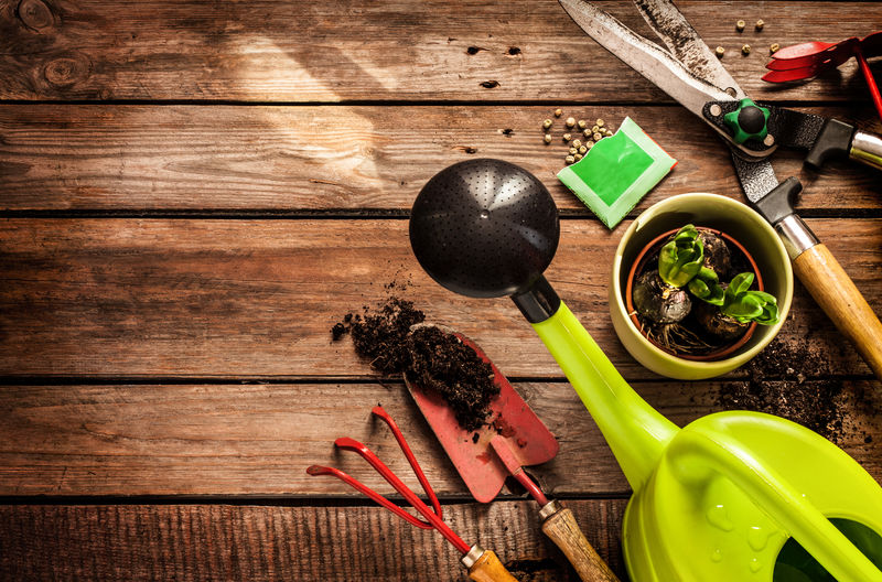 园艺工具、浇水罐、种子、植物和土壤在古董木桌上-春天在花园概念的背景下有免费的文字空间