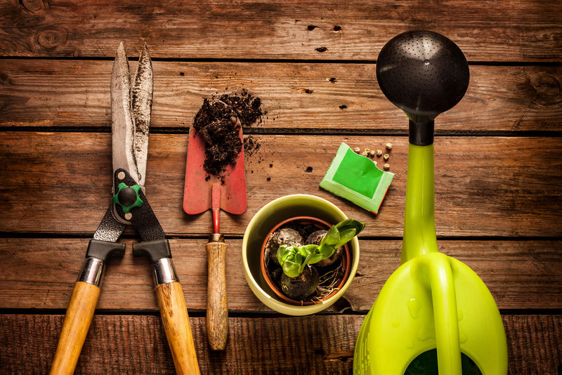 园艺工具-水罐-种子-植物和土壤放在老式木桌上-春天在花园的概念