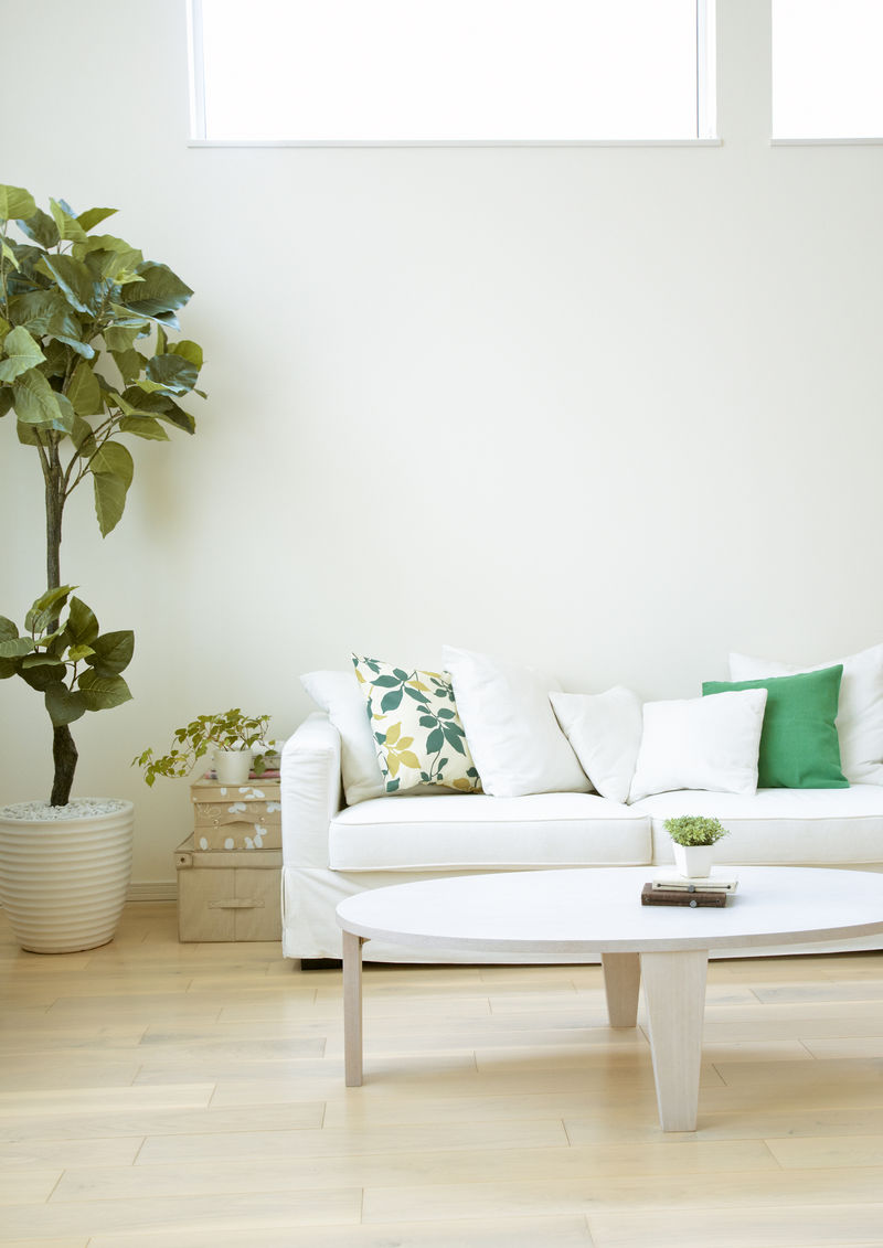 带沙发的白色极简风格房间-斯堪的纳维亚室内设计-三维图解