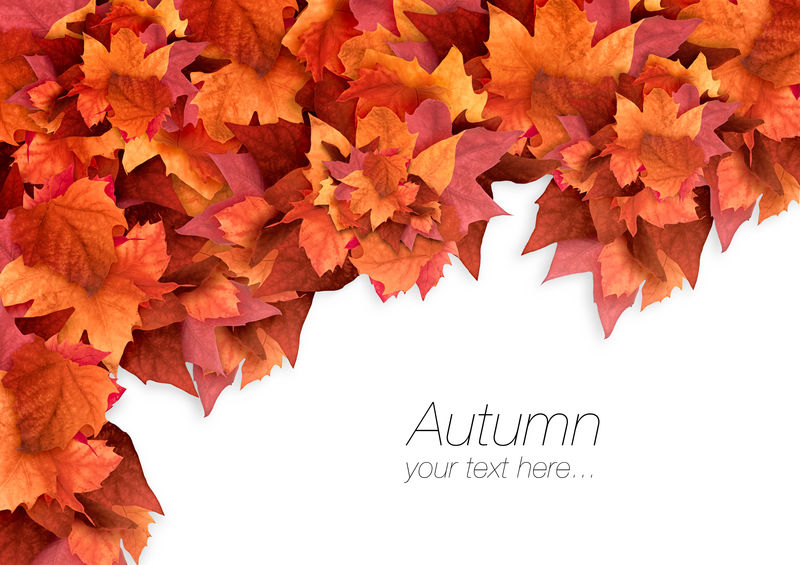 秋天的树叶。秋季背景。颜色爆炸
