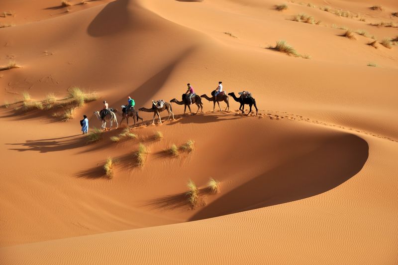 摩洛哥-Merzuga-2018年6月31日/骆驼车队穿过撒哈拉沙漠的沙丘-摩洛哥Merzuga
