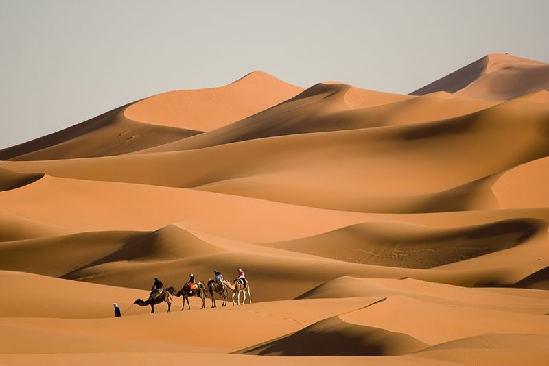 摩洛哥骆驼旅行