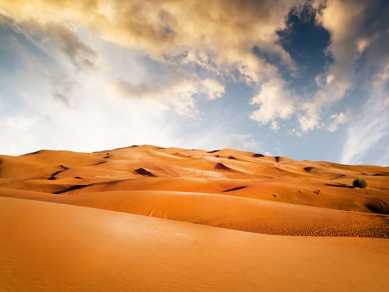 沙质沙漠
