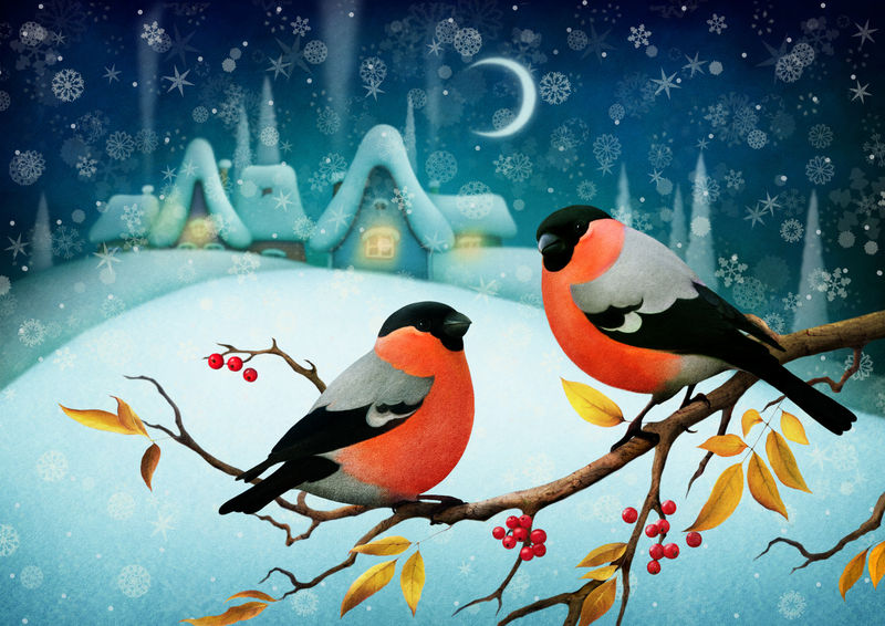 贺卡或海报-圣诞快乐-新年快乐-树枝上有夜景和夜莺