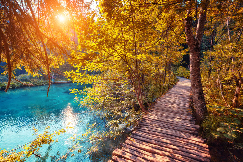 在普里特维茨湖国家公园-您可以欣赏到绿松石水和阳光灿烂的光束-在阳光下发光的木头-克罗地亚-欧洲-戏剧性的异常场景-美丽世界-复古和复古色调效果