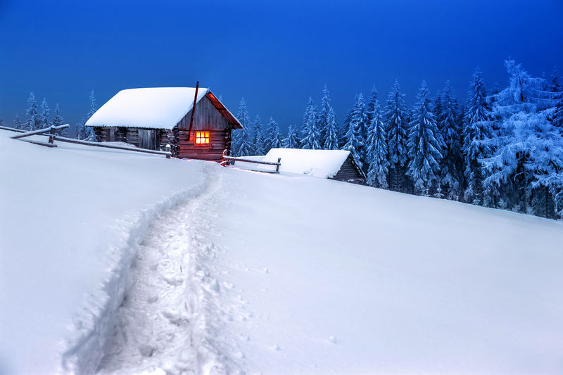 冬林木屋