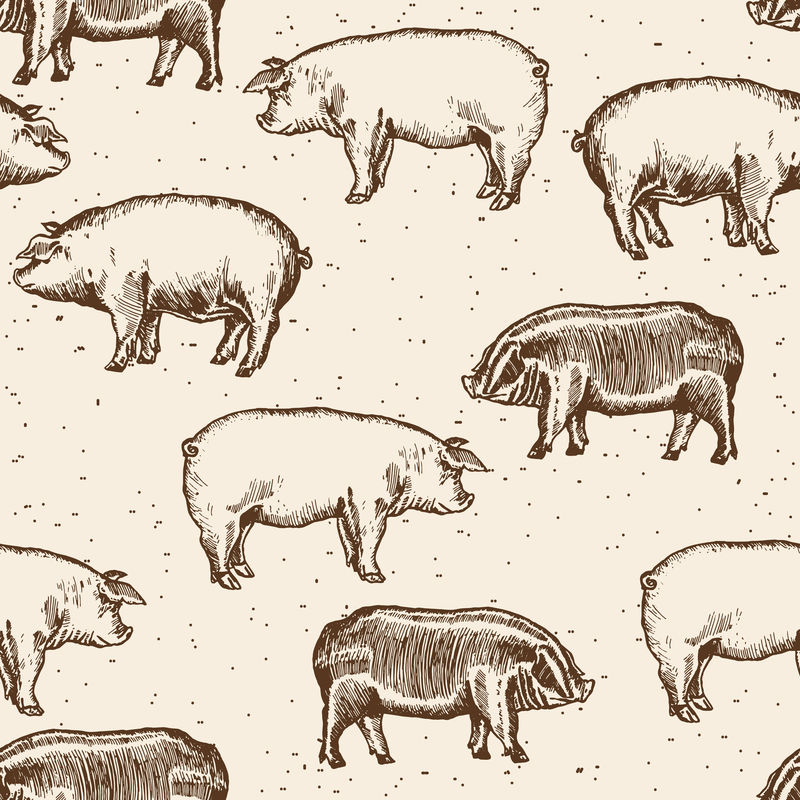 猪无缝图案农场猪手绘复古矢量