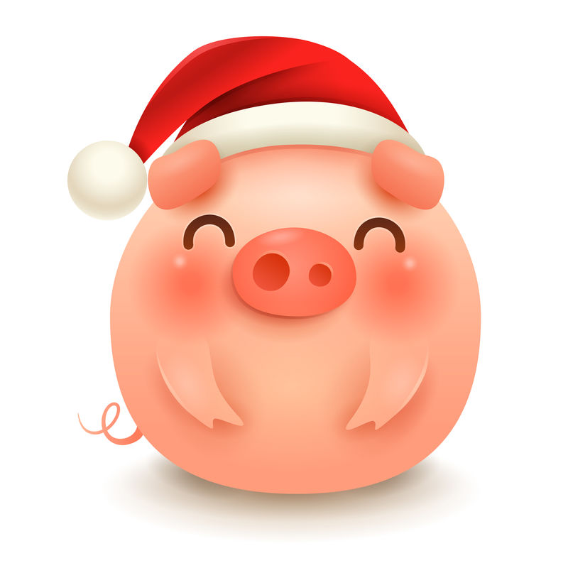 带圣诞老人红帽子的肥猪-新年快乐