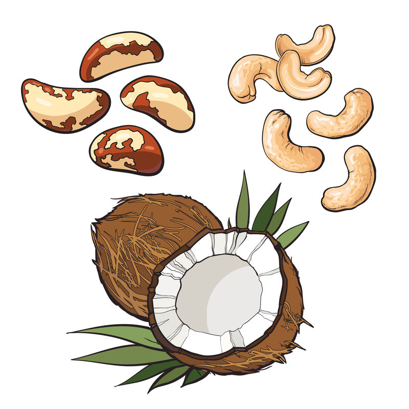 腰果、椰子、巴西坚果系列