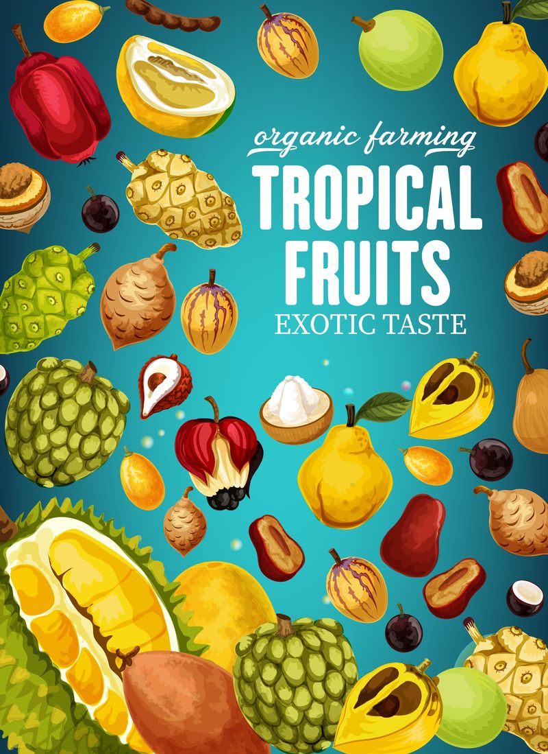 天然素食的热带水果海报
