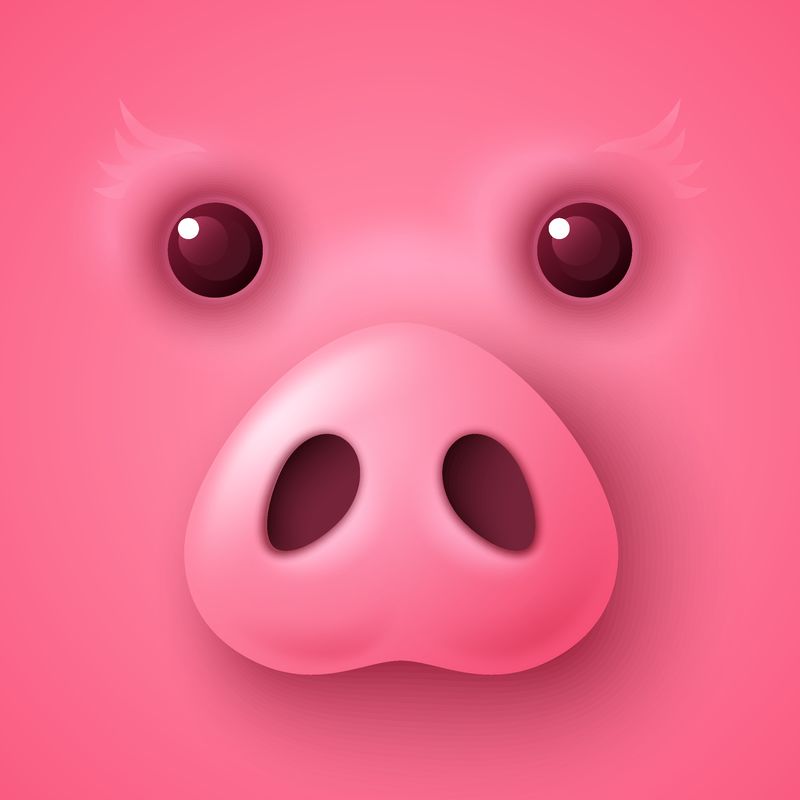 可爱有趣的3D猪脸2019中国新年-贺卡和日历设计-矢量图