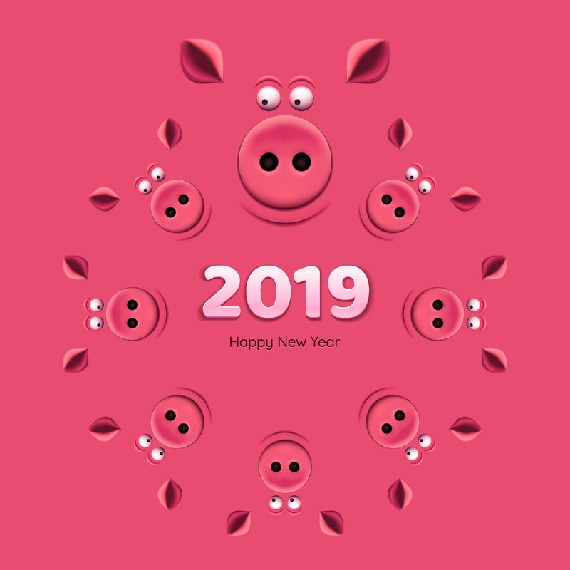 条幅纸-粉红色背景下的猪&x27；的鼻子-2019新年