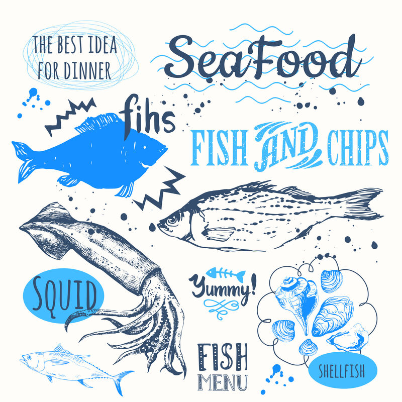 手绘素描海鲜：鱼，龙虾，蛤，鱿鱼。