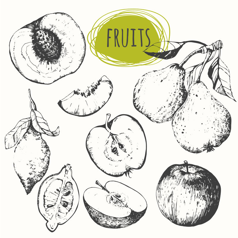 一套手工绘制的苹果、柠檬、梨、桃。素描水果。