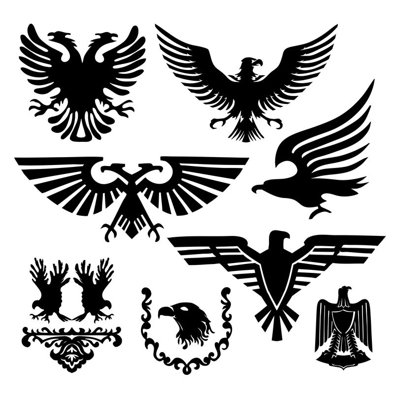 鹰形轮廓鸟纹章符号图标黑色套装独立插图