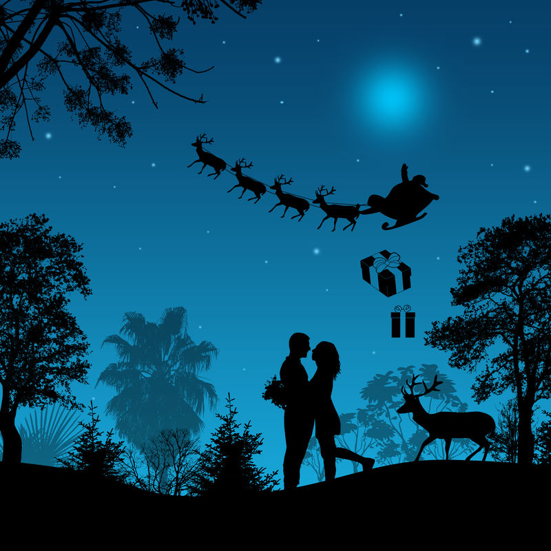 情人们在美丽的蓝色夜晚，带着圣诞老人的雪橇