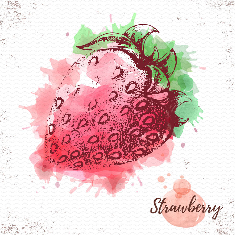 草莓水彩素描。鲜果矢量图