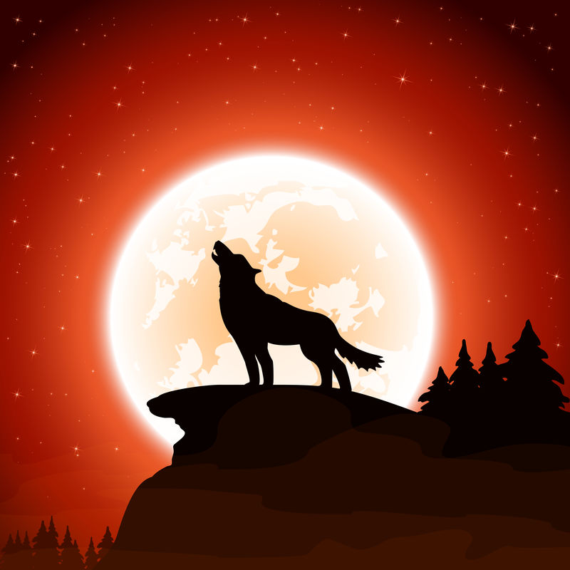天空背景下的狼和月亮