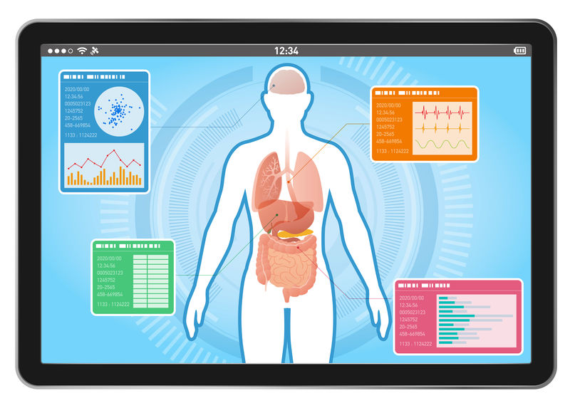 平板电脑上的医疗界面、人体和消化器官、载体图示