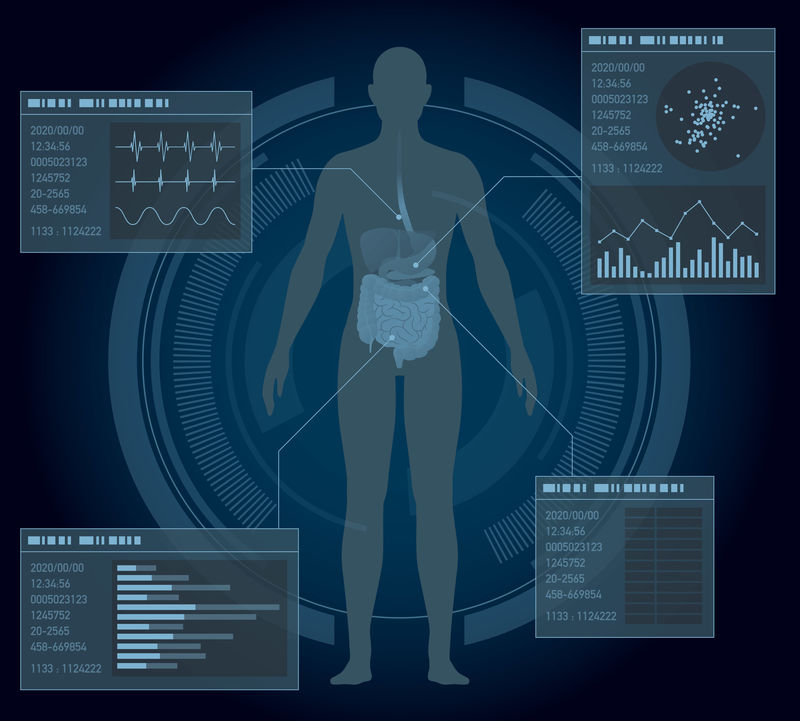 医学界面-人体消化器官-向量图