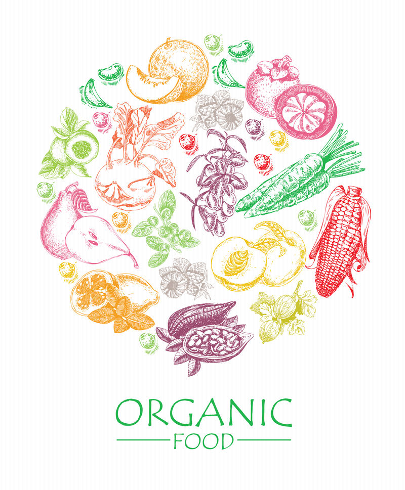 有机食品-一套蔬菜、水果和香料-农家饭-海报-菜单