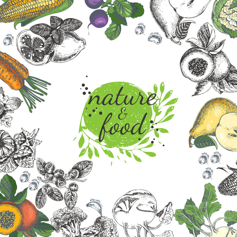 自然食物载体海报-复古框架与水果-蔬菜复古风格-草图背景