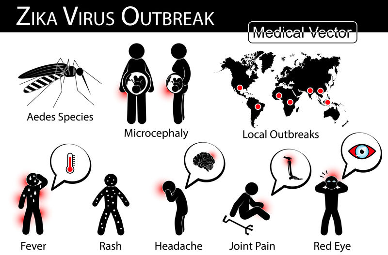齐卡病毒爆发信息图（蚊（伊蚊种）是携带者，胎儿小头畸形，局部地区爆发，齐卡热症状）