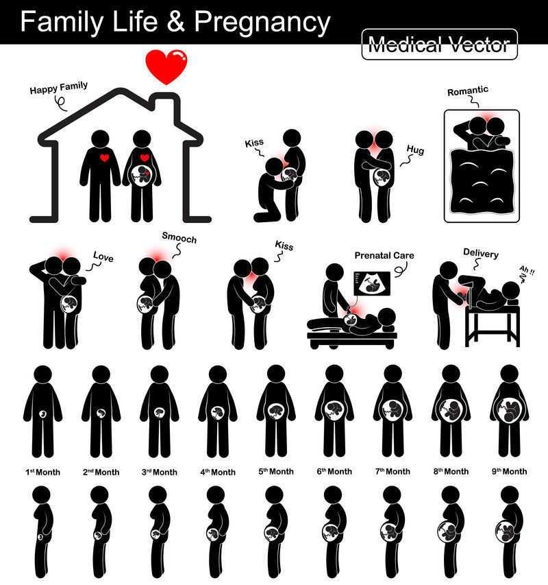怀孕期间的家庭生活和胎儿发育（孕妇和胎儿在子宫中的生长）（逐步）（医学、科学和保健概念）（黑白，平面设计，隔离）