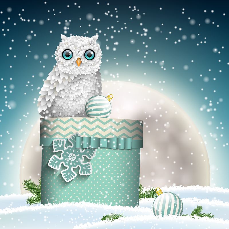 圣诞主题-可爱的白色猫头鹰坐在冬季冰雪景观的蓝色礼品盒中-背景是明亮的大月亮-矢量图-EPS 10透明