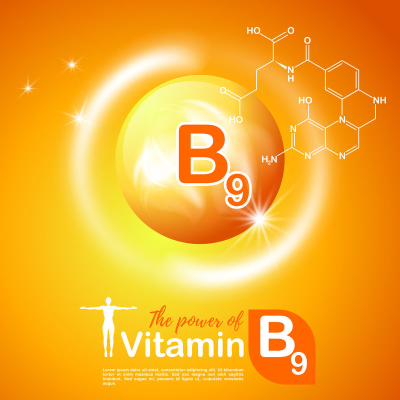 营养符号载体概念。维生素B9的功效。塞米卡