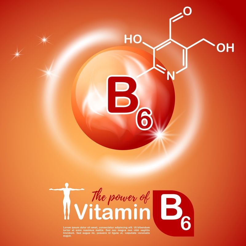 营养符号载体概念。维生素B6的功效。塞米卡