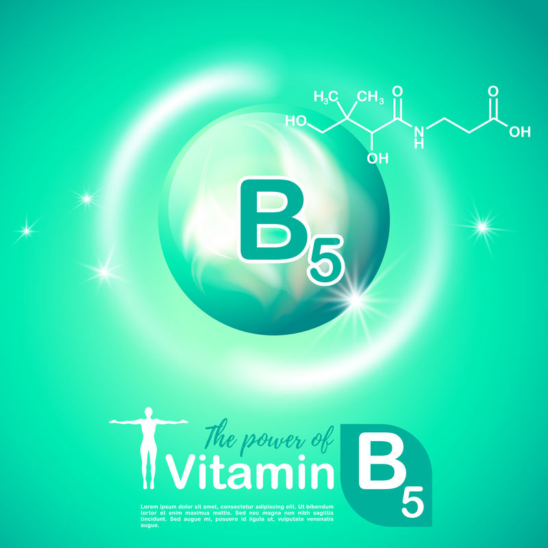 营养符号载体概念。维生素b5的功效。塞米卡