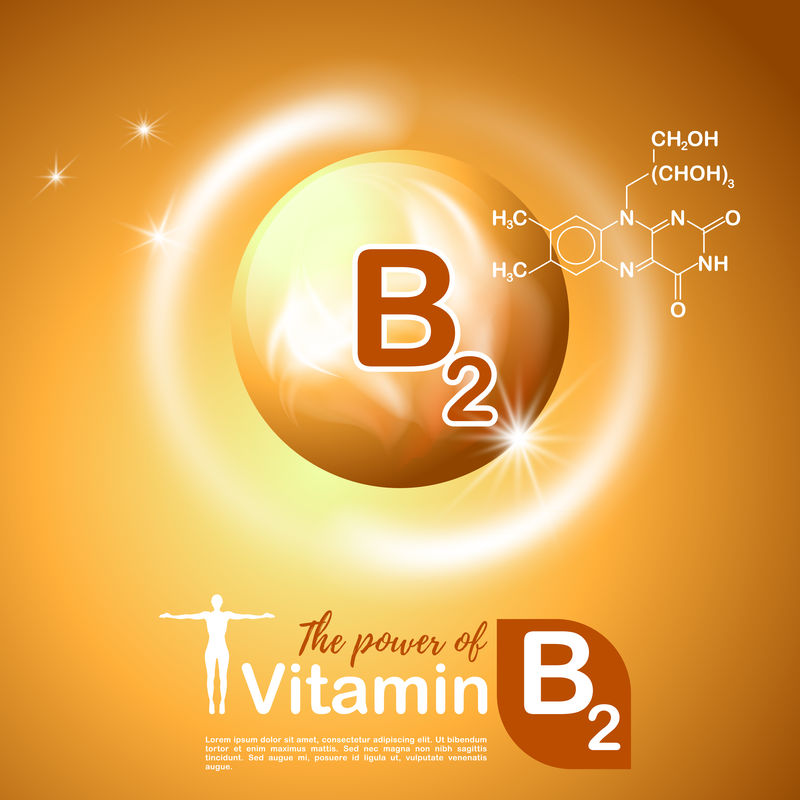 营养符号载体概念。维生素B2的功效。塞米卡